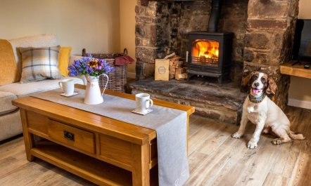 2 Bed in Abergavenny 2