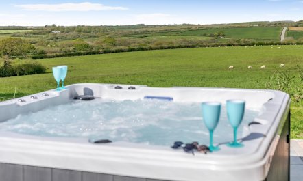 4 Bed in Bude 1