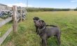 2 Bed in Bideford 5
