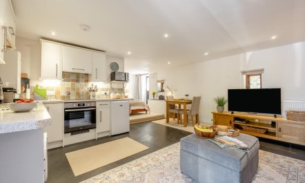 1 Bed in Tavistock 3