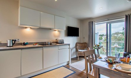 1 Bed in Saundersfoot 4