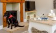 1 Bed in Brockenhurst 9