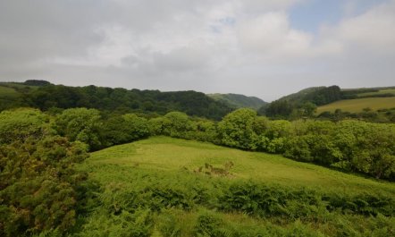 2 Bed in Woolacombe 9