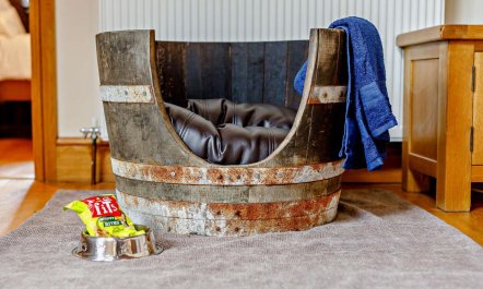 1 Bed in Launceston 4