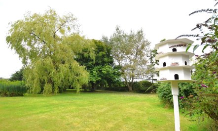 2 Bed in Wadebridge 1