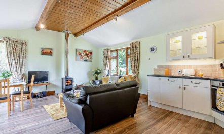 1 Bed in South Molton 5