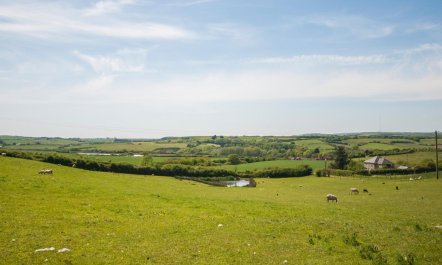 1 Bed in Godshill 7