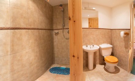 1 Bed in Godshill 6