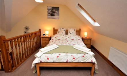 1 Bed in Mold 6