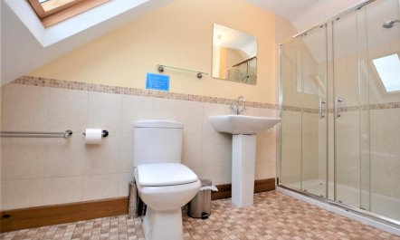 1 Bed in Mold 7