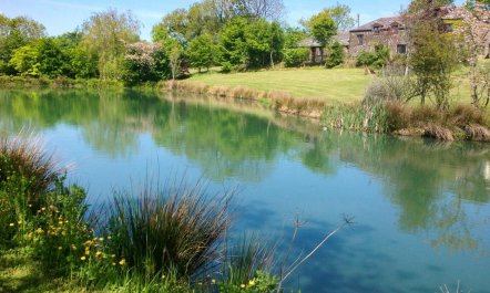 4 Bed in Holsworthy 1