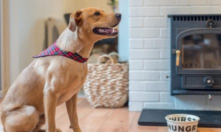 1 Bed in Brockenhurst 7