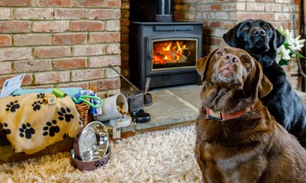 1 Bed in Cheltenham 3