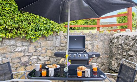 2 Bed in Tyn-y-gongl 8