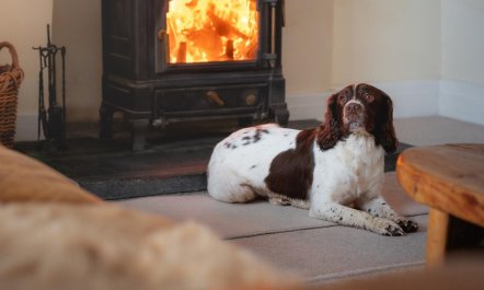 5 Bed in Aberystwyth 4