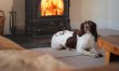 5 Bed in Aberystwyth 4