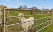 2 Bed in Beaworthy 5
