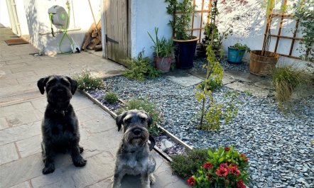 3 Bed in Keswick 1