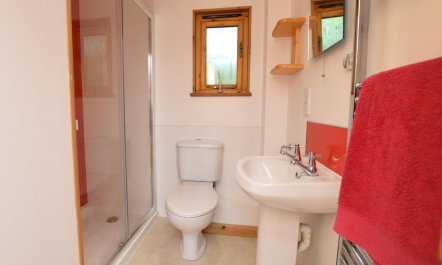 2 Bed in Redruth 6