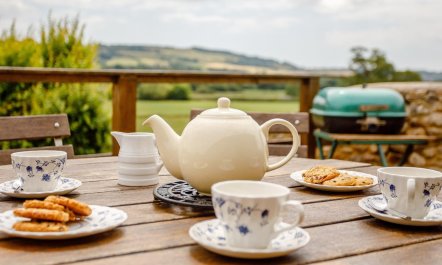 3 Bed in Axminster 2