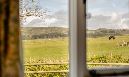 2 Bed in Newchurch 2