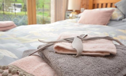 1 Bed in Tavistock 1