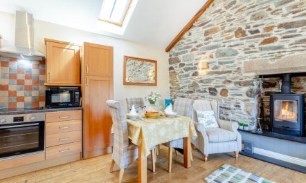 1 Bed in Tavistock 6