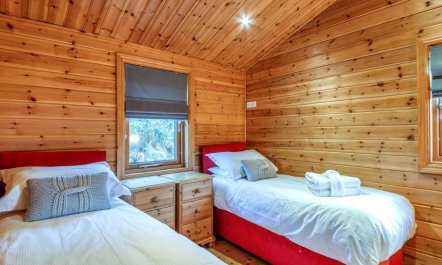 3 Bed in Middlesbrough 8