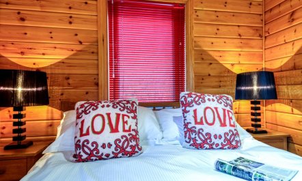 3 Bed in Middlesbrough 7