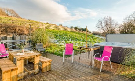 3 Bed in Middlesbrough 4