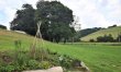 1 Bed in Launceston 3