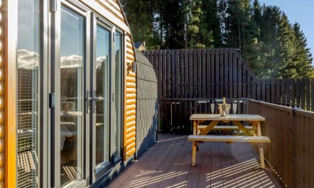 1 Bed in Kirriemuir 9