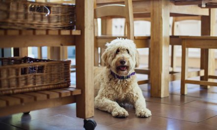 6 Bed in Aberaeron 8