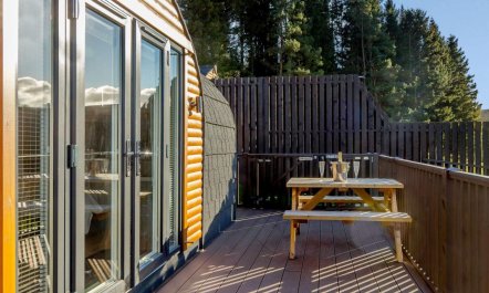 1 Bed in Kirriemuir 5