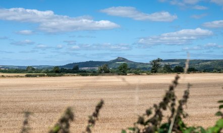 1 Bed in Middlesbrough 5