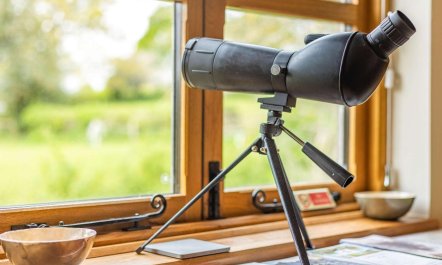 1 Bed in Leominster 2