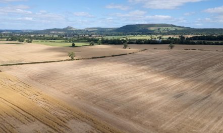 1 Bed in Middlesbrough 2