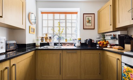 The Georgian Architect 6