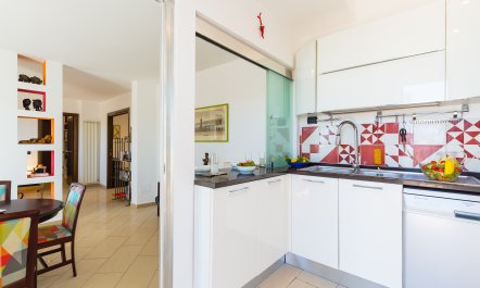 Lemons On The Terrace 0