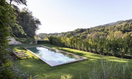 The Legendary Giulia 1