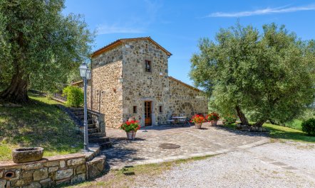 Shadow Blooms 1