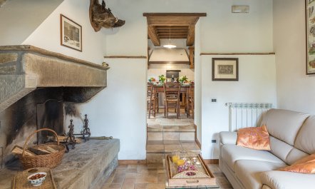 Old Tuscan Farmhouse 5