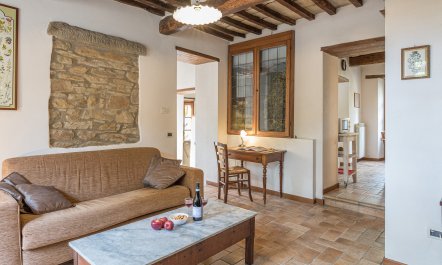 Old Tuscan Farmhouse 7