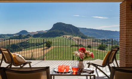 Hillside Vines 7