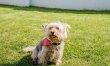 4 Bed in Bideford 3