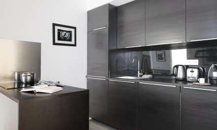 Silver Starlight 9