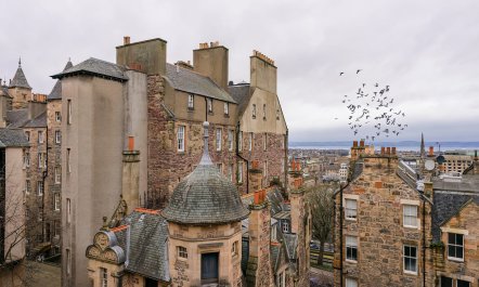 A Royal View 1