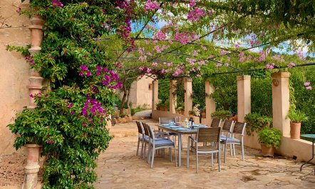 The Old Mallorcan Orchard 0
