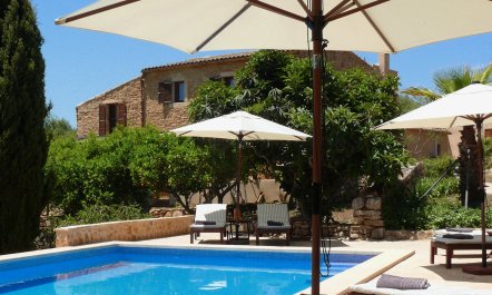 The Old Mallorcan Orchard 1