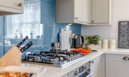 3 Bed in Ashbourne 8
